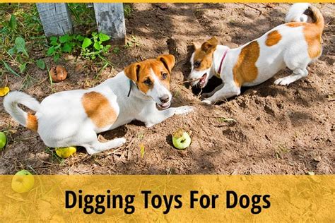 toys for digging dogs
